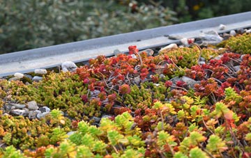the cost of Shottery green roof installation