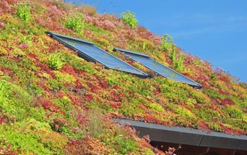 Shottery living roof systems